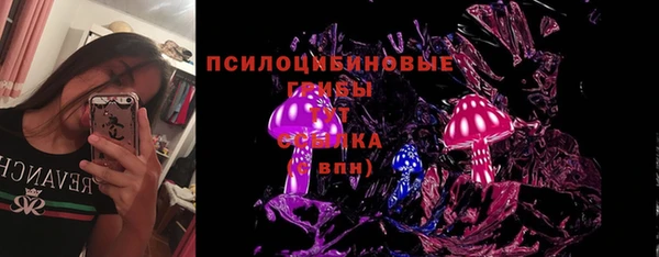 стаф Аркадак
