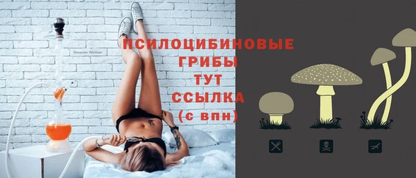 дурь Арсеньев