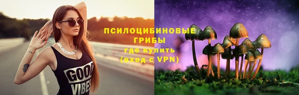дурь Арсеньев