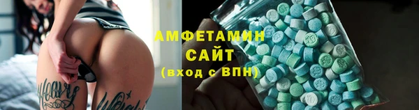 стаф Аркадак
