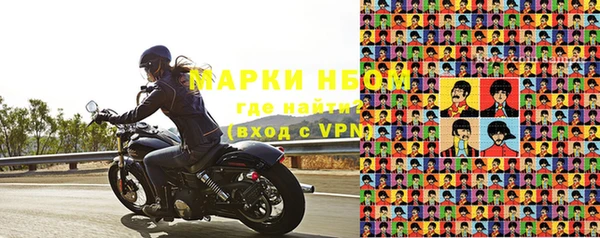 стаф Аркадак