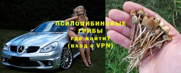 дурь Арсеньев