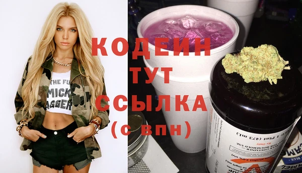 стаф Аркадак