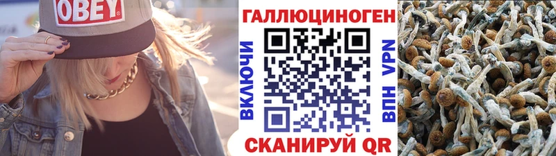 Псилоцибиновые грибы мицелий  магазин продажи наркотиков  Тара 